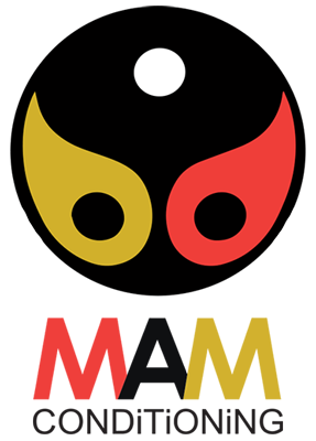 Mam Ems Logo