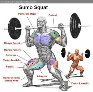 Sumo squat